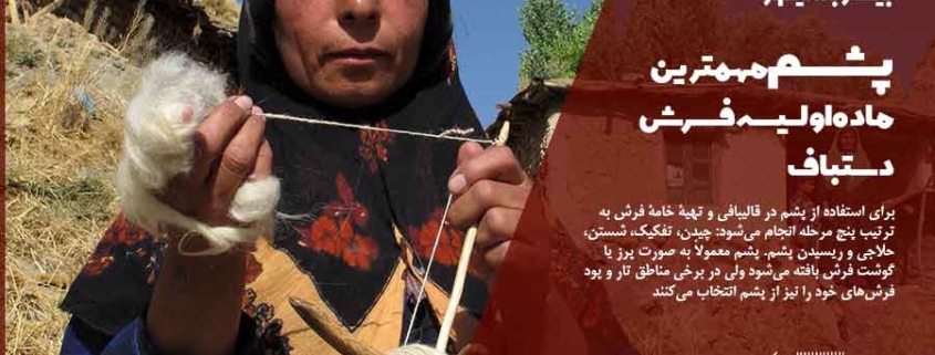 از پشم قالی بافی بیشتر بدانیم