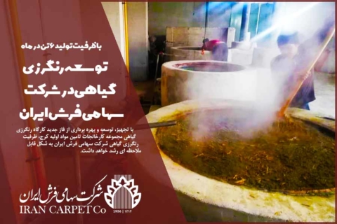 توسعه رنگرزی گیاهی در شرکت سهامی فرش ایران