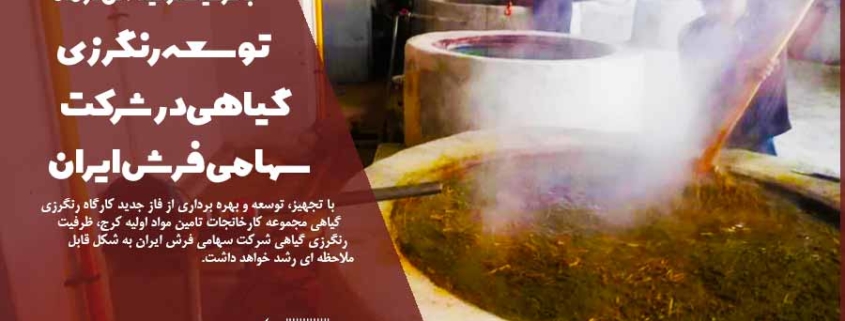 توسعه رنگرزی گیاهی در شرکت سهامی فرش ایران