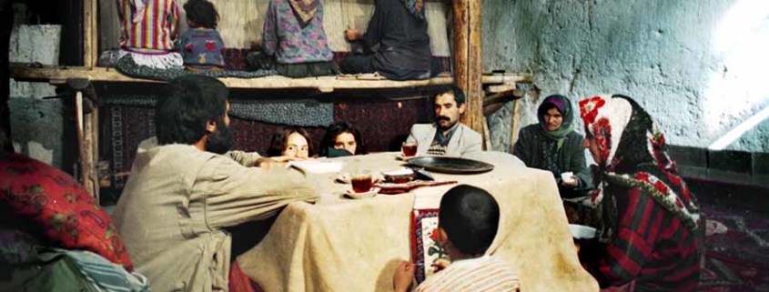 بیمه قالیبافان