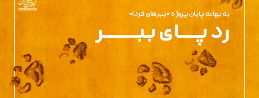 فرش ببری