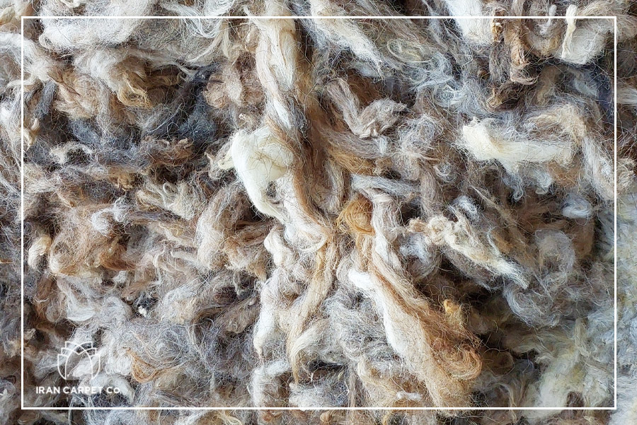 مواد اولیه فرش دستباف-پشم گوسفند-شرکت فرش ایران